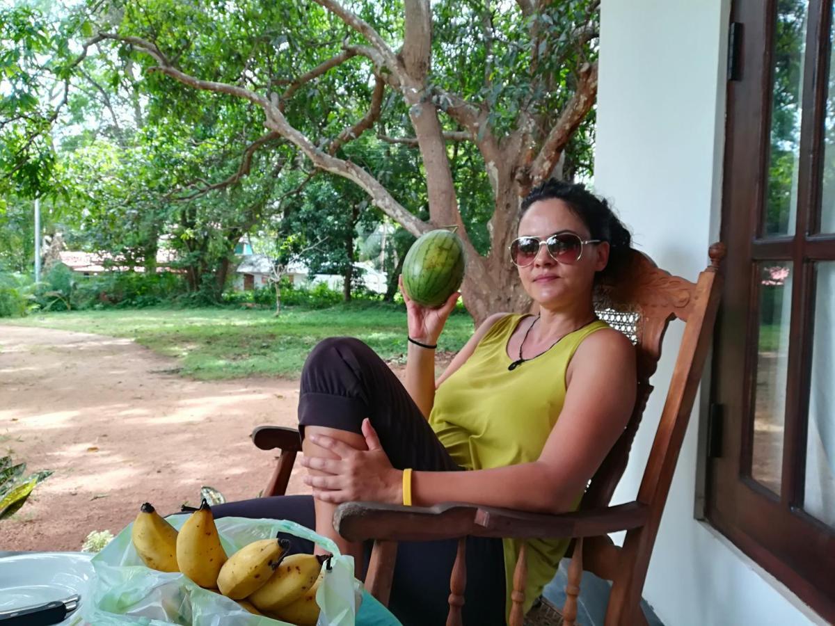 Sigiri Veenus Paradise Sigirija Zewnętrze zdjęcie